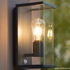 Buitenlamp antraciet/glas met bewegingssensor IP54></noscript>Straluma Clearance