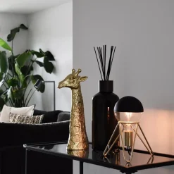 Calex LED G125 kopspiegel zwart dimbaar></noscript>Straluma