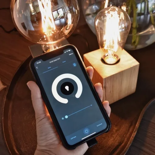 Calex Smart LED Filament Gold Globe G95>Straluma