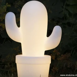 Draadloze LED tafellamp cactus wit></noscript>Straluma Hot
