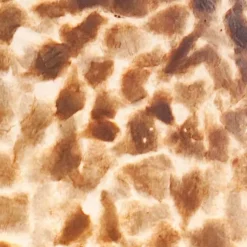 Driepoot schelpen vloerlamp zwart met bruin en goud></noscript>Straluma