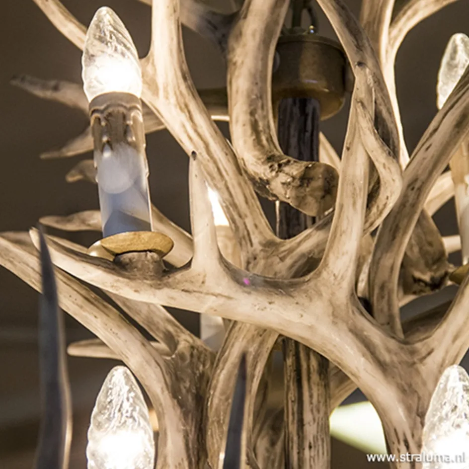 Grote 12-lichts kroonluchter met geweien>Straluma Sale