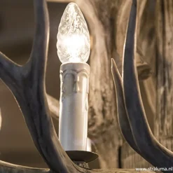 Grote 12-lichts kroonluchter met geweien><noscript><img width=