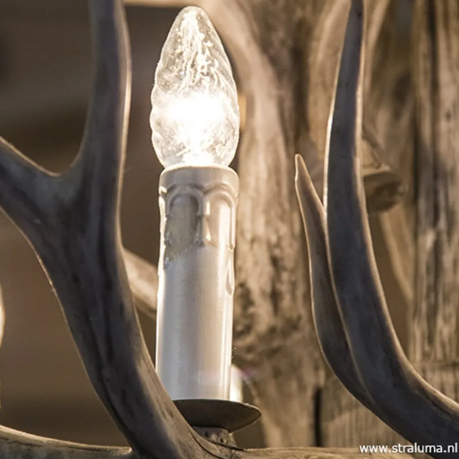 Grote 12-lichts kroonluchter met geweien>Straluma Sale