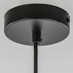 Hanglamp zwart met smoke glas 30cm></noscript>Straluma