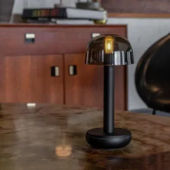 Kleine LED tafellamp oplaadbaar mat zwart met smoke glas></noscript>Straluma Online