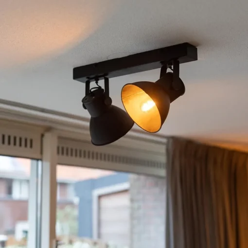 2-Lichts metalen plafondlamp Eliano mat zwart>Straluma Online