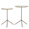 Light and Living bijzettafel Gimi set van 2>Straluma Online