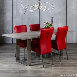 Moderne eettafel vergrijsd eiken 200x100></noscript>Straluma New