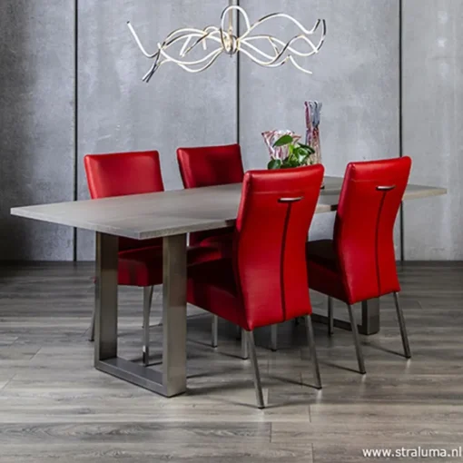 Moderne eettafel vergrijsd eiken 200x100>Straluma New