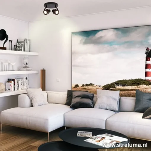 Moderne plafondspot mat zwart 2-lichts>Straluma