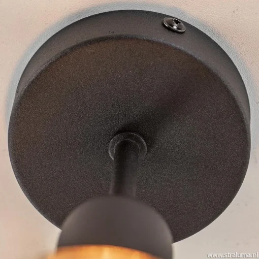 Plafondfitting basic zwart>Straluma Best