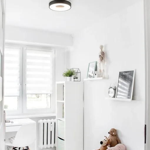 Plafondlamp Coin 38 zwart + remote CCT>Straluma Outlet