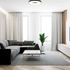 Plafondlamp Coin 65 zwart + remote></noscript>Straluma Online