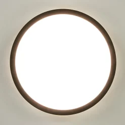 Plafondlamp Tuco 25cm zwart></noscript>Straluma Outlet
