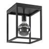 Plafondlamp zwart open frame>Straluma