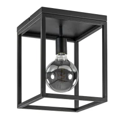 Plafondlamp zwart open frame>Straluma