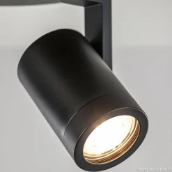 Plafondspot Halo Spot 2L rond zwart></noscript>Straluma Online