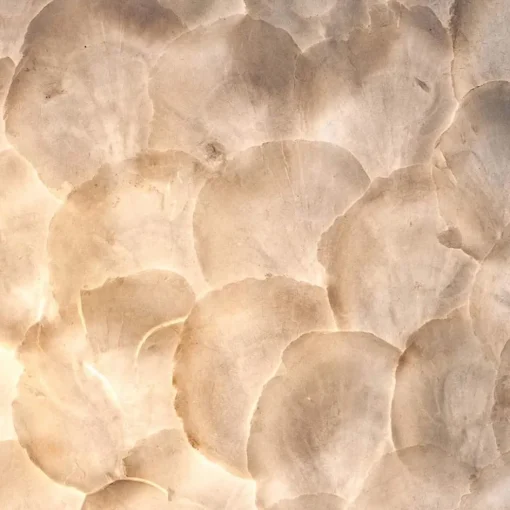 Sfeervolle wandlamp creme schelpen kamer>Straluma Hot