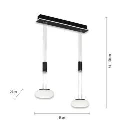 Smart hanglamp 2-lichts mat zwart met opaal glas dimbaar></noscript>Straluma