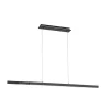 Smart hanglamp mat zwart verstelbaar>Straluma Hot