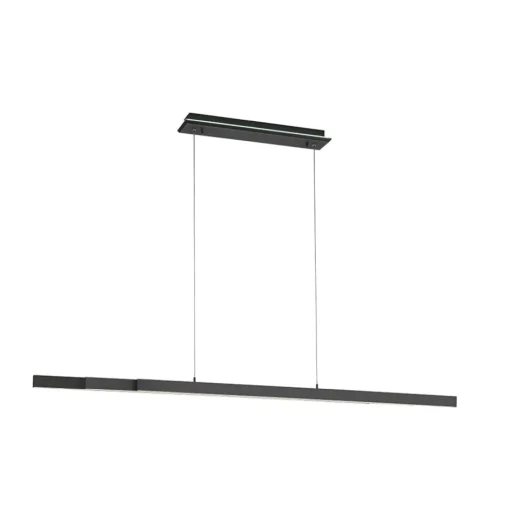 Smart hanglamp mat zwart verstelbaar>Straluma Hot