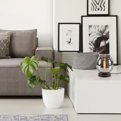 Tafellamp Fantasy laag zwart + smoke glas></noscript>Straluma Hot