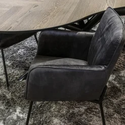 Trendy eetkamerstoel velours antraciet met armleuning></noscript>Straluma Outlet