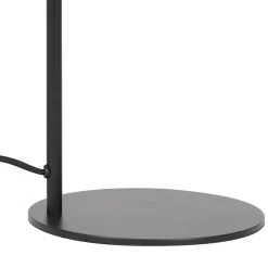 Vloerlamp Lekar zwart met smoke glas></noscript>Straluma