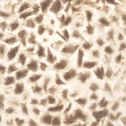 Zwarte driepoot tafellamp met witte schelpenkap></noscript>Straluma Hot