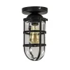 Zwarte Kooi- plafondlamp met glas>Straluma Outlet