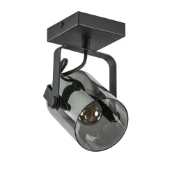 Zwarte plafond/wandlamp met titanium glas>Straluma New