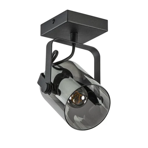 Zwarte plafond/wandlamp met titanium glas>Straluma New
