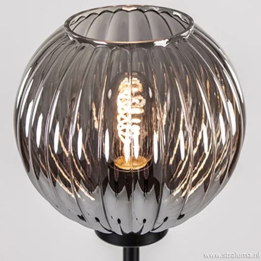 Zwarte vloerlamp met smoke glazen kap>Straluma Clearance